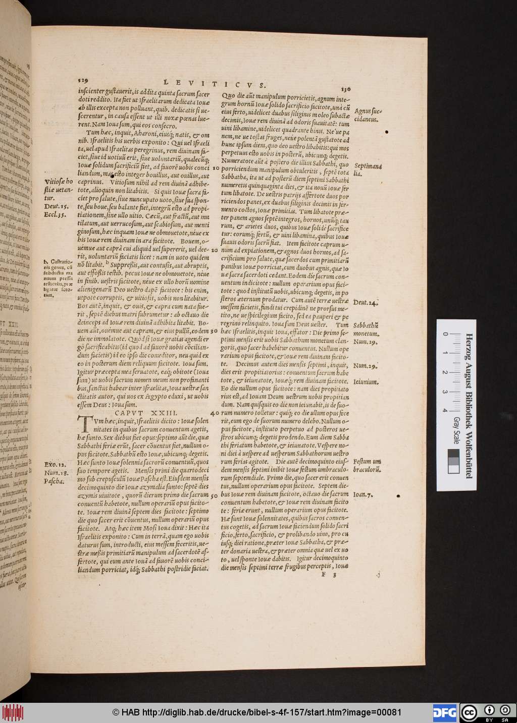 http://diglib.hab.de/drucke/bibel-s-4f-157/00081.jpg