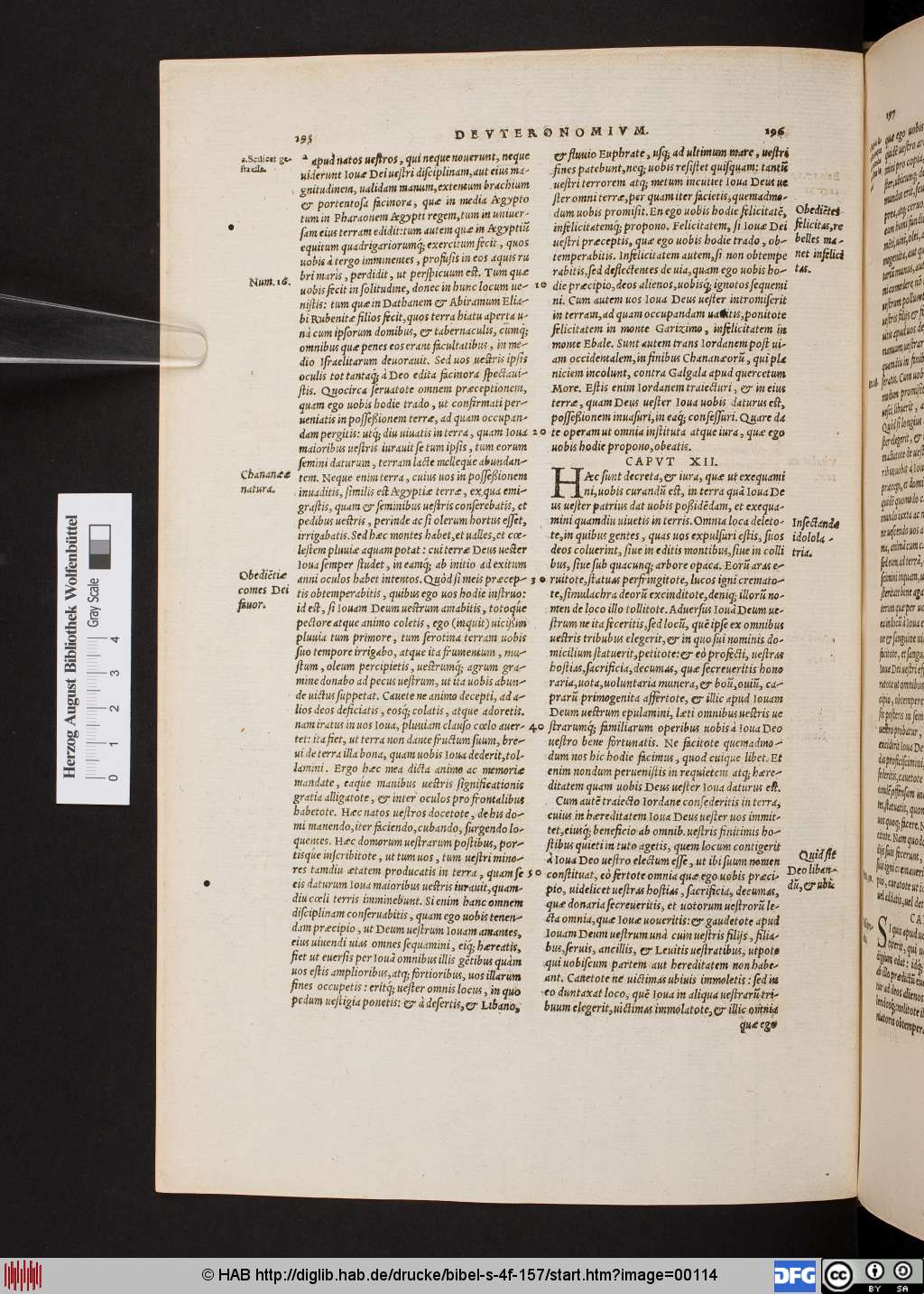 http://diglib.hab.de/drucke/bibel-s-4f-157/00114.jpg