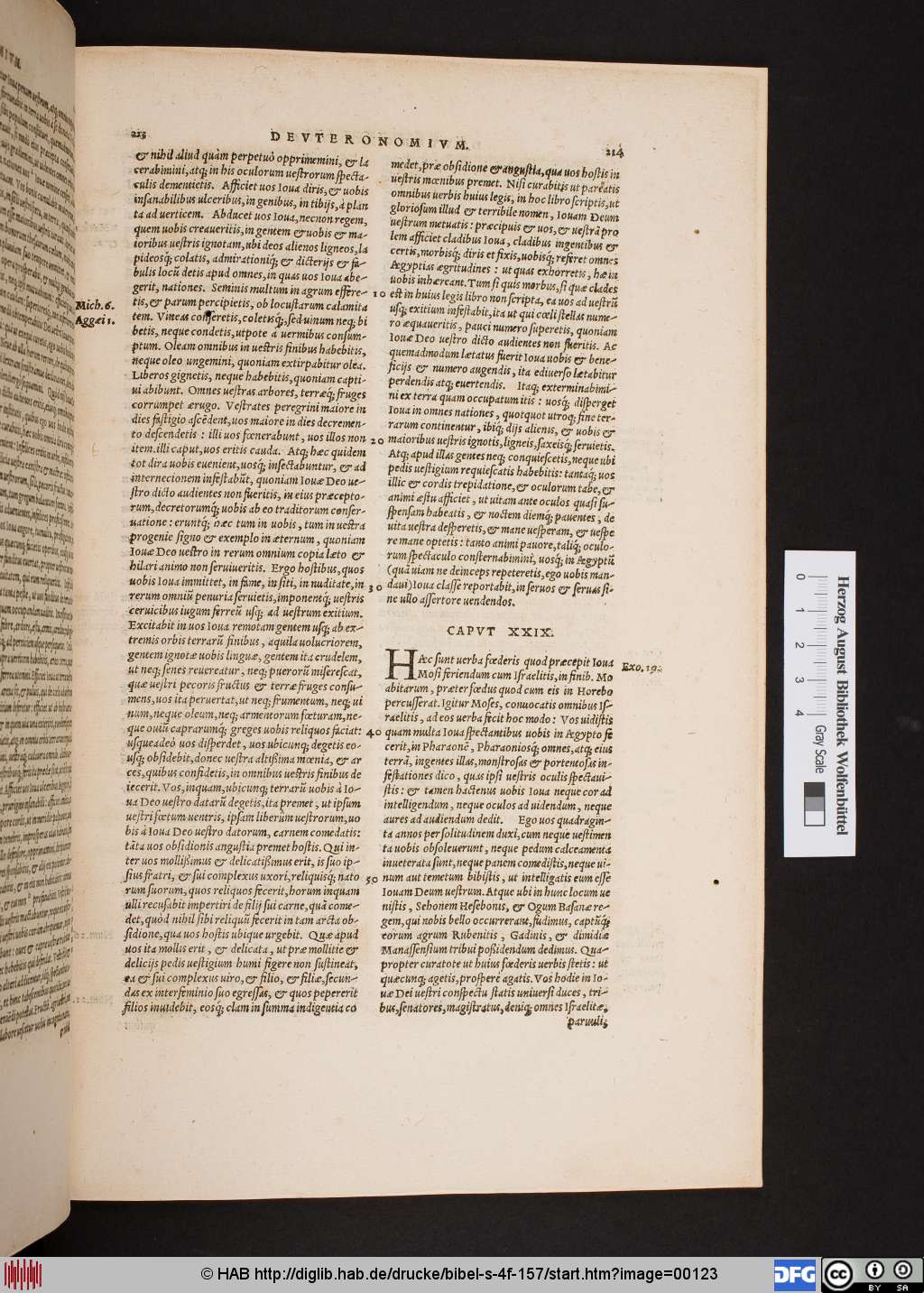 http://diglib.hab.de/drucke/bibel-s-4f-157/00123.jpg