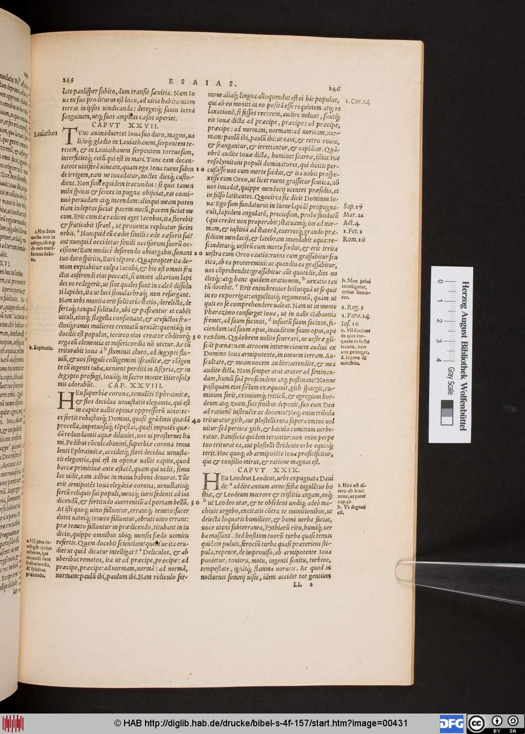 http://diglib.hab.de/drucke/bibel-s-4f-157/00431.jpg
