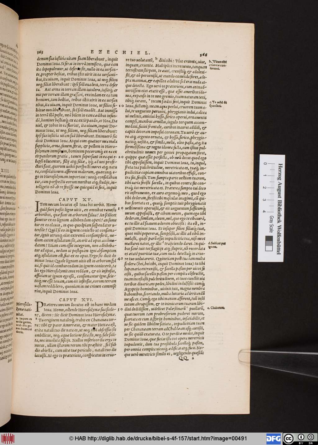 http://diglib.hab.de/drucke/bibel-s-4f-157/00491.jpg