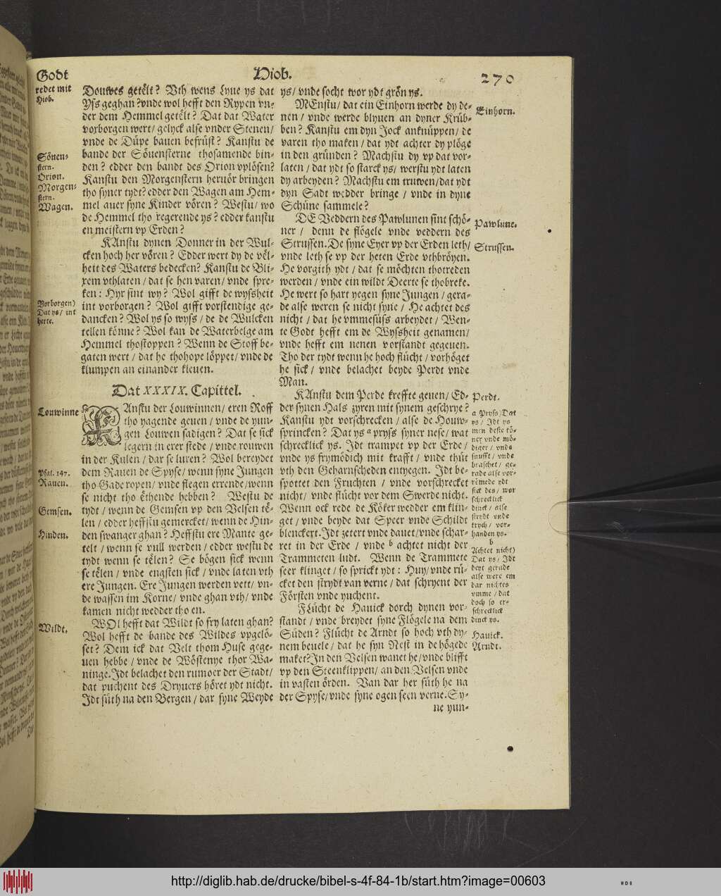 http://diglib.hab.de/drucke/bibel-s-4f-84-1b/00603.jpg