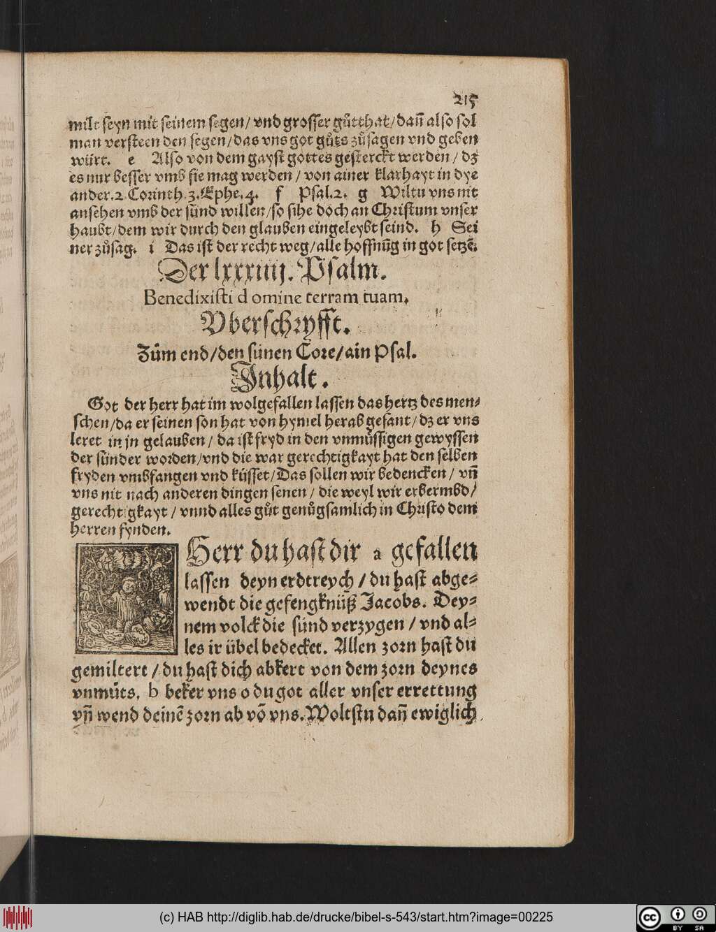 http://diglib.hab.de/drucke/bibel-s-543/00225.jpg