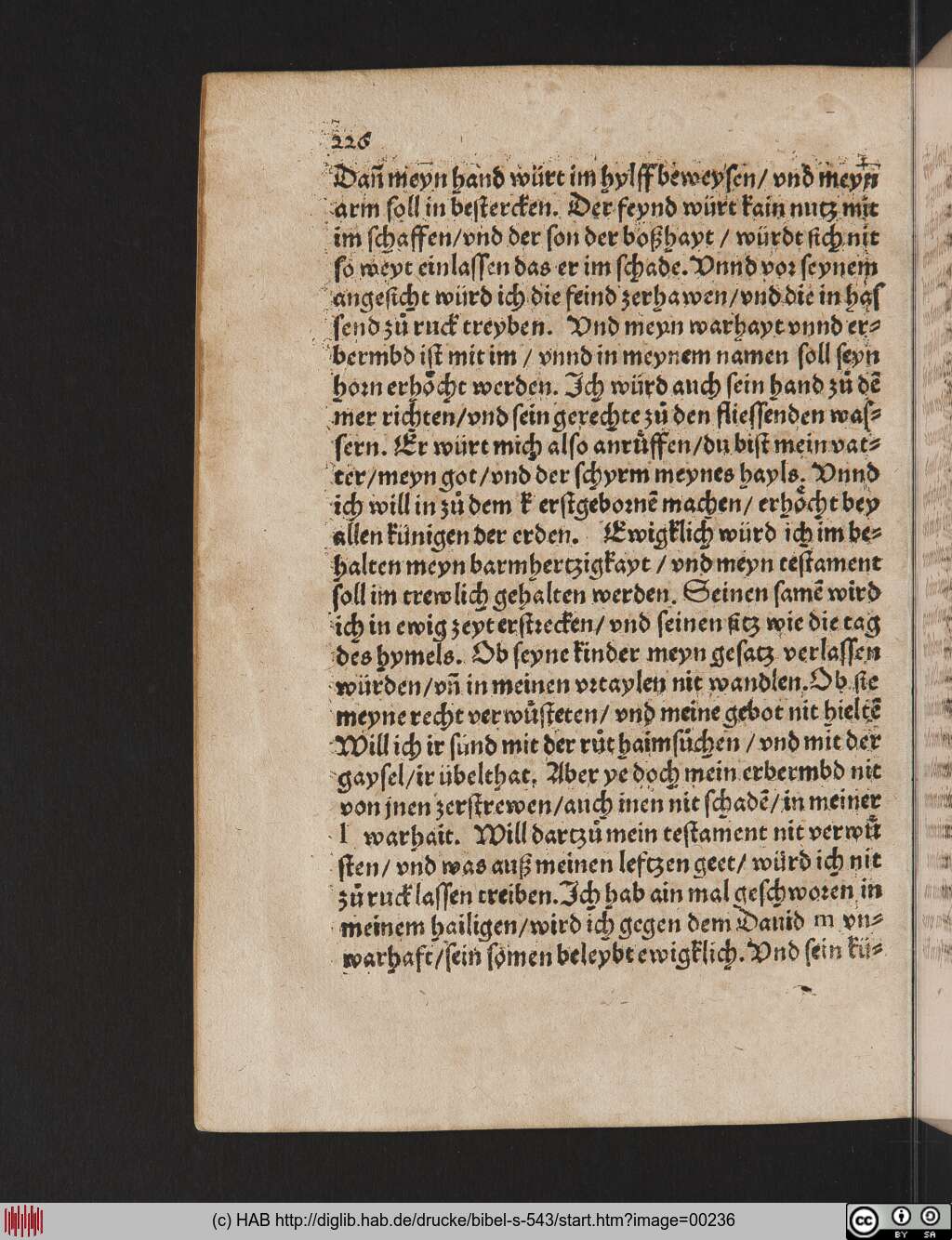 http://diglib.hab.de/drucke/bibel-s-543/00236.jpg