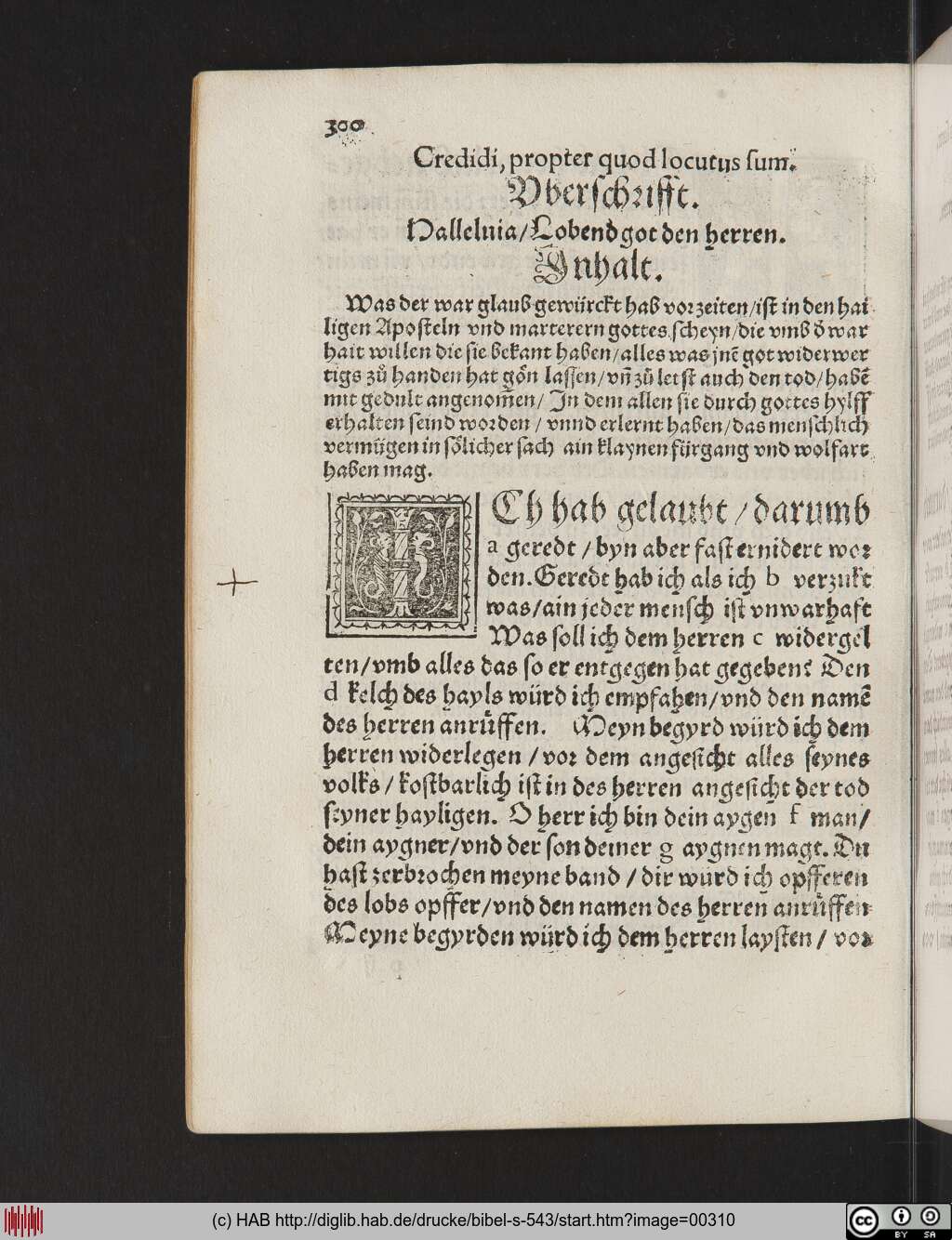 http://diglib.hab.de/drucke/bibel-s-543/00310.jpg