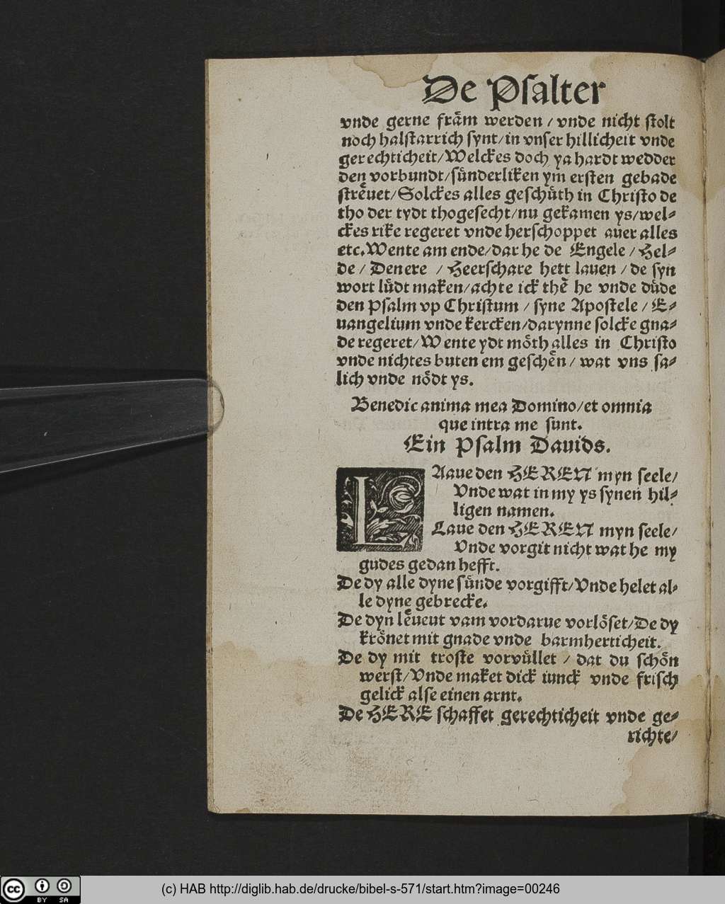 http://diglib.hab.de/drucke/bibel-s-571/00246.jpg