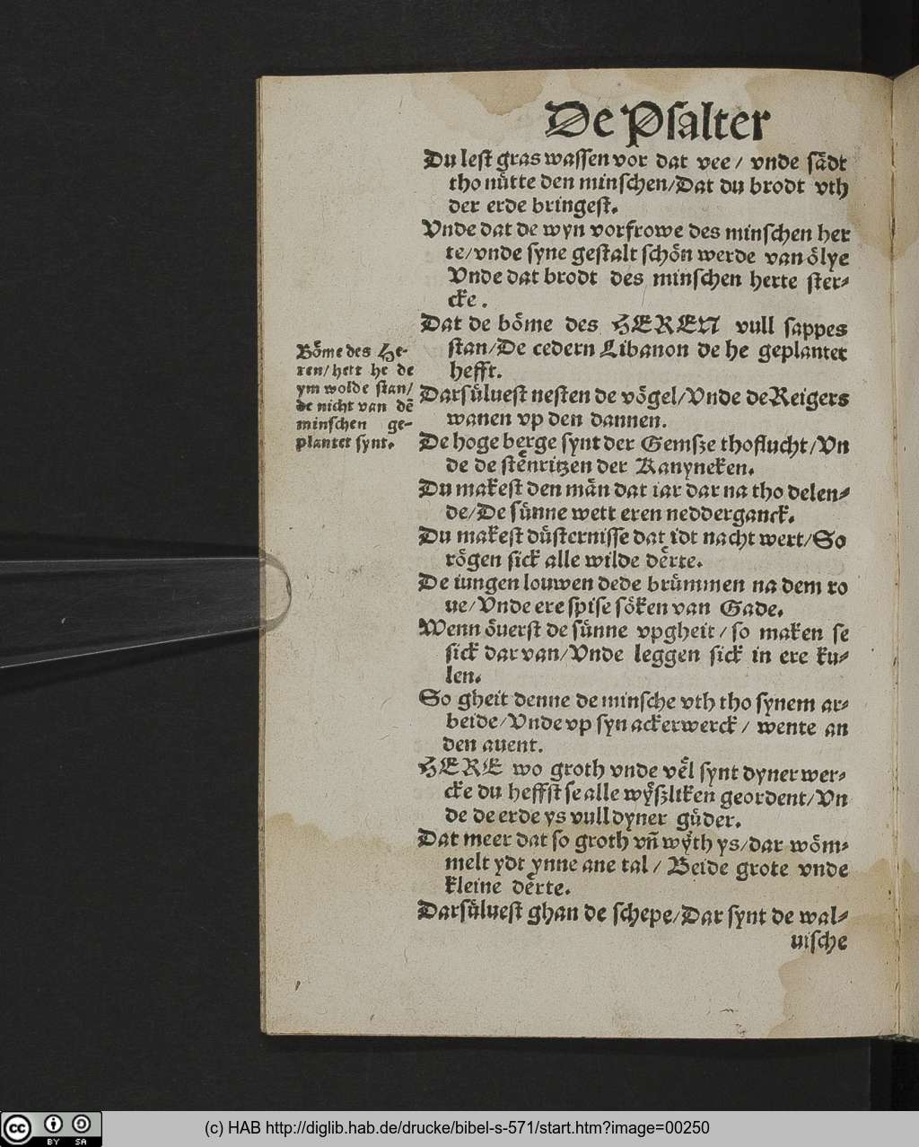 http://diglib.hab.de/drucke/bibel-s-571/00250.jpg