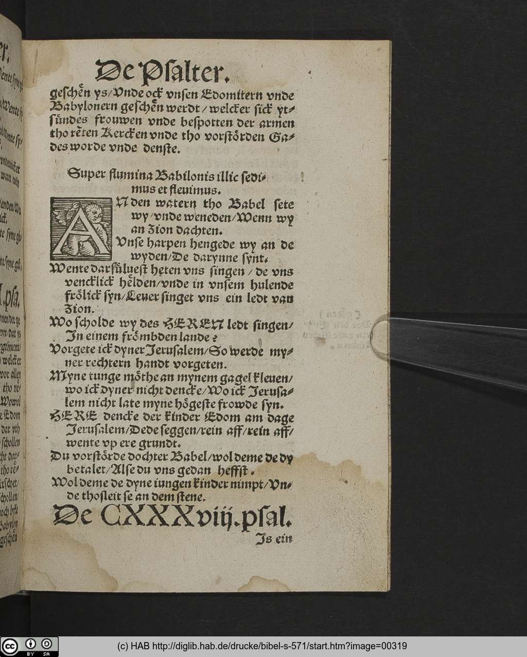 http://diglib.hab.de/drucke/bibel-s-571/00319.jpg