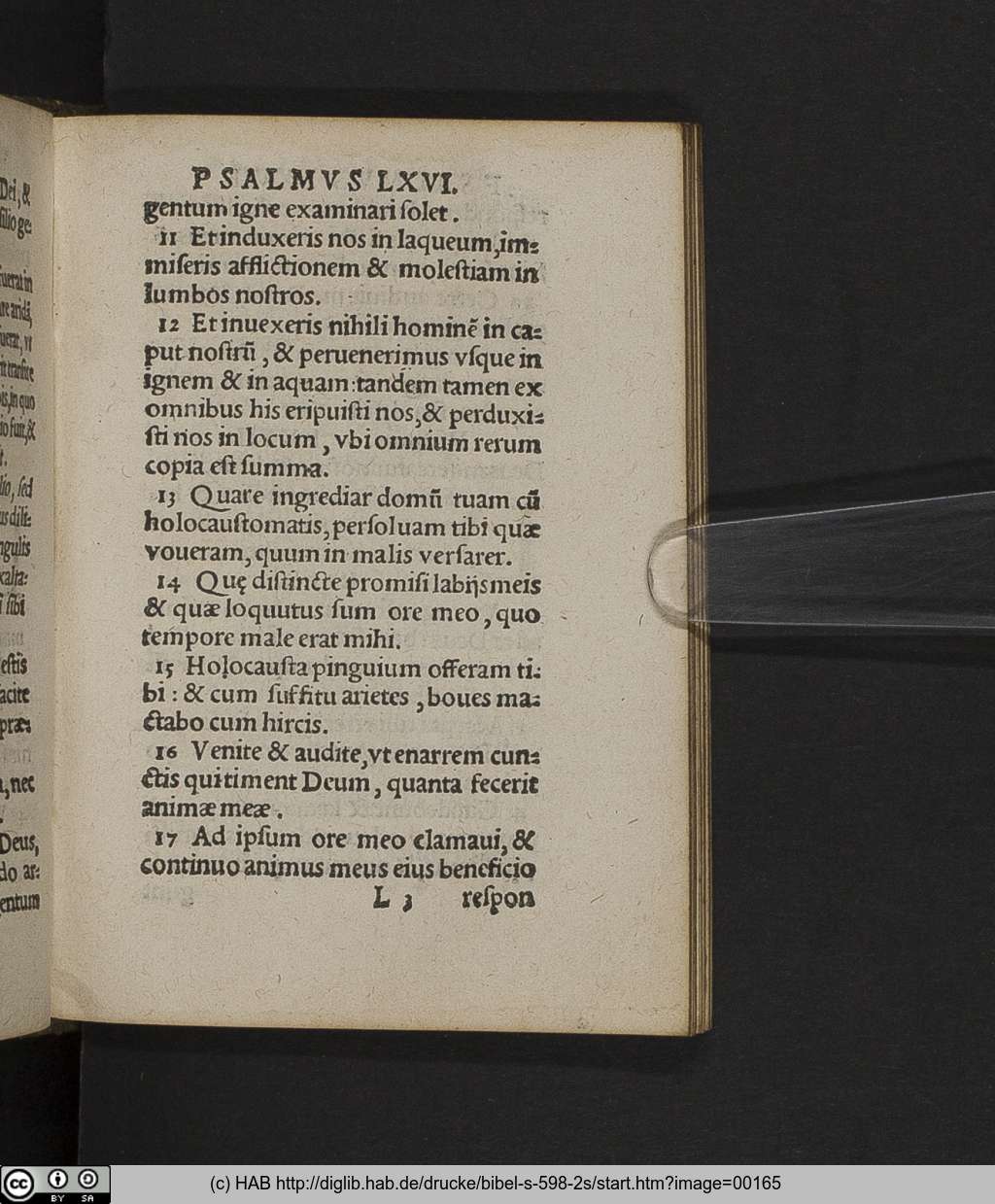 http://diglib.hab.de/drucke/bibel-s-598-2s/00165.jpg