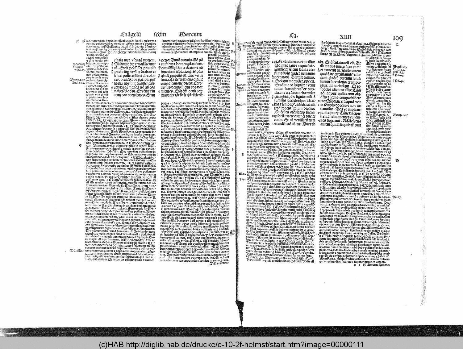 http://diglib.hab.de/drucke/c-10-2f-helmst/00000111.gif