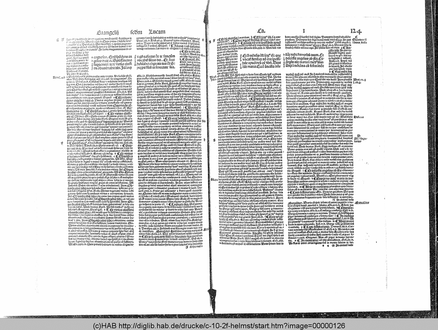 http://diglib.hab.de/drucke/c-10-2f-helmst/00000126.gif