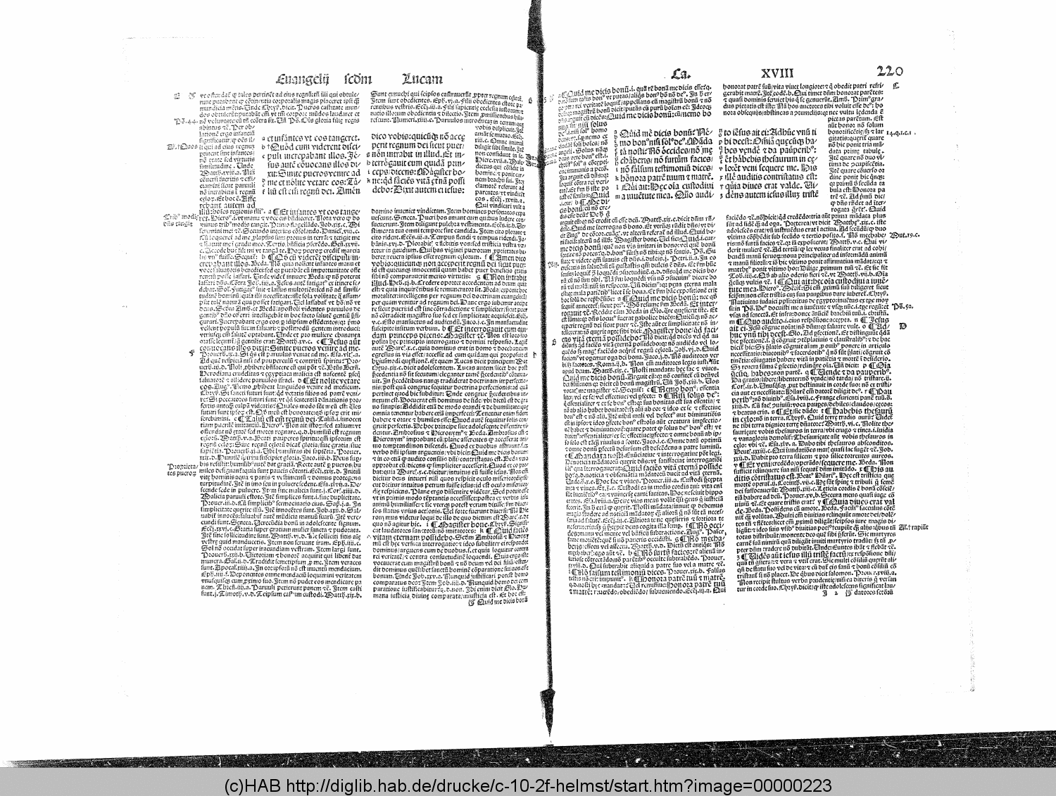 http://diglib.hab.de/drucke/c-10-2f-helmst/00000223.gif