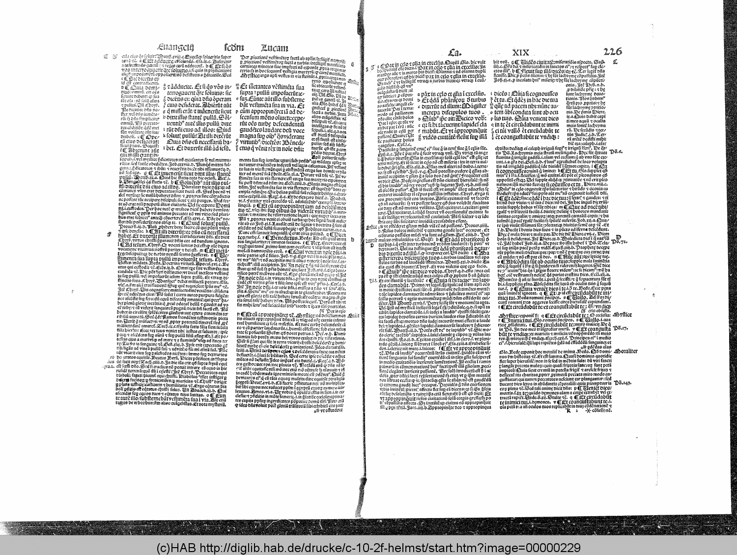 http://diglib.hab.de/drucke/c-10-2f-helmst/00000229.gif