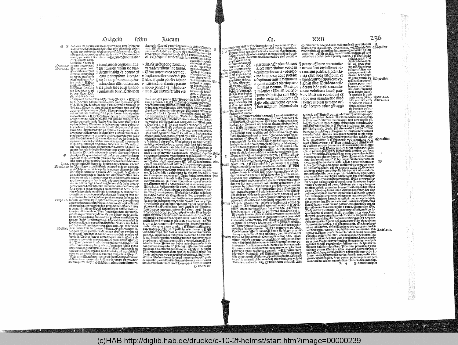 http://diglib.hab.de/drucke/c-10-2f-helmst/00000239.gif