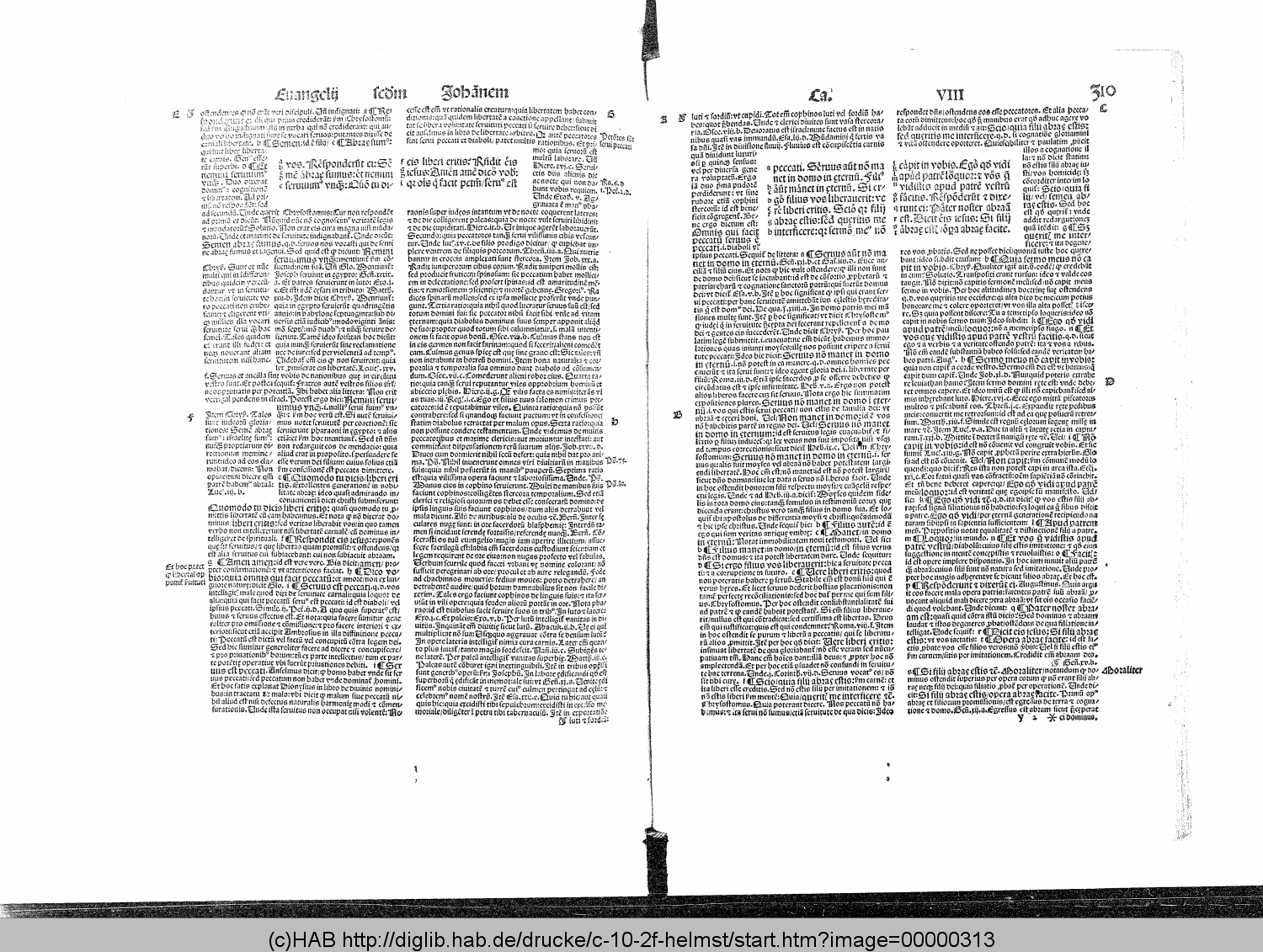 http://diglib.hab.de/drucke/c-10-2f-helmst/00000313.gif