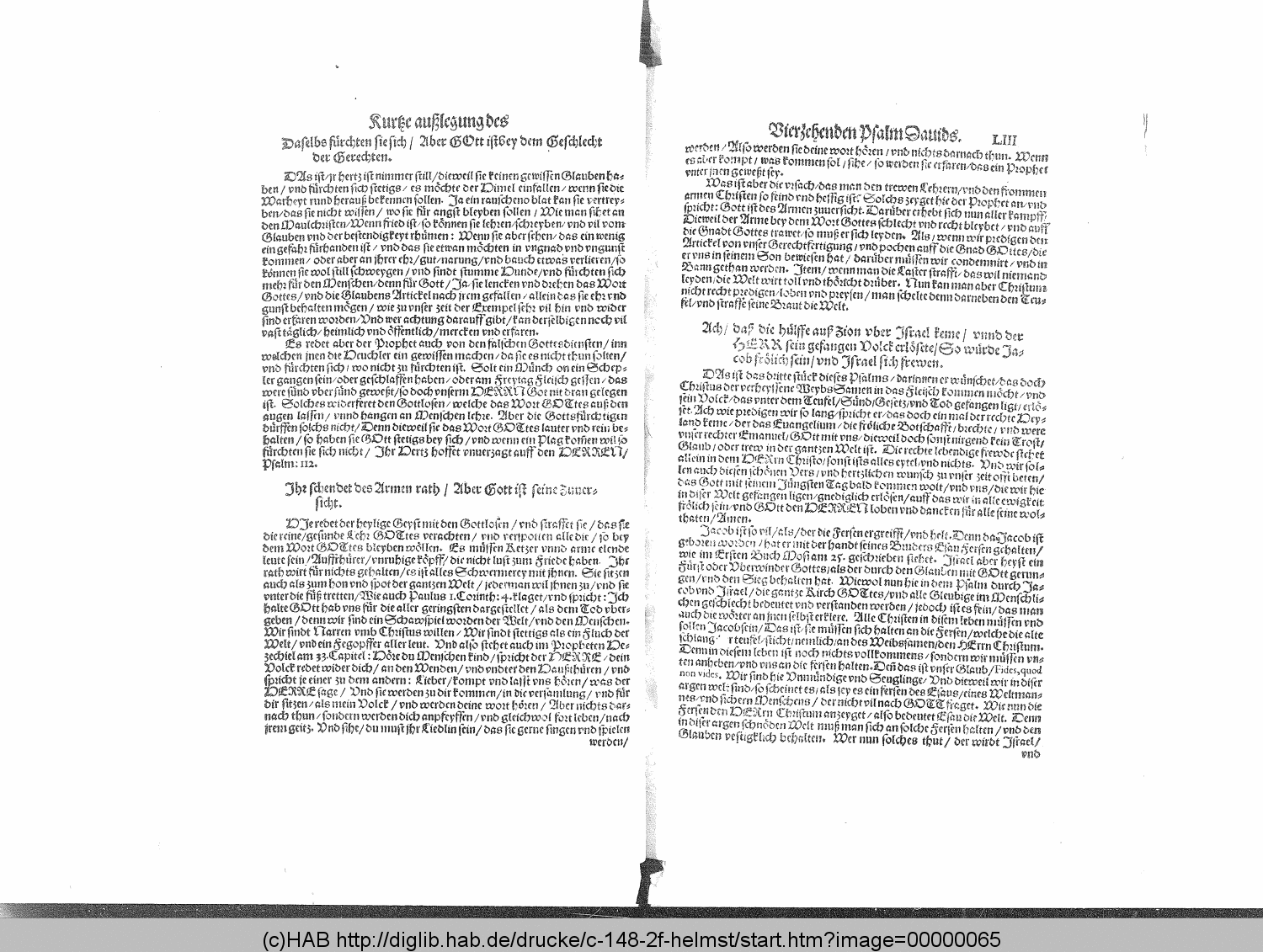 http://diglib.hab.de/drucke/c-148-2f-helmst/00000065.gif