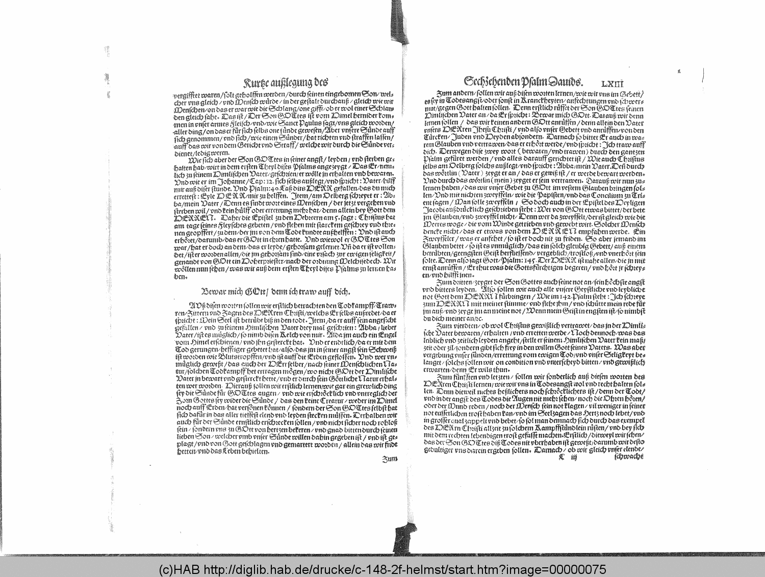 http://diglib.hab.de/drucke/c-148-2f-helmst/00000075.gif