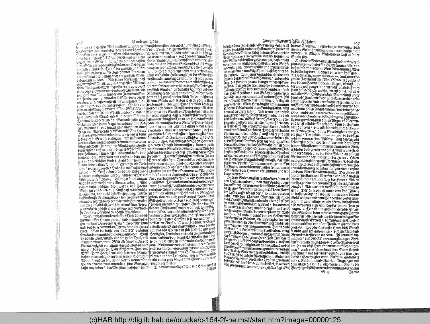 http://diglib.hab.de/drucke/c-164-2f-helmst/00000125.gif