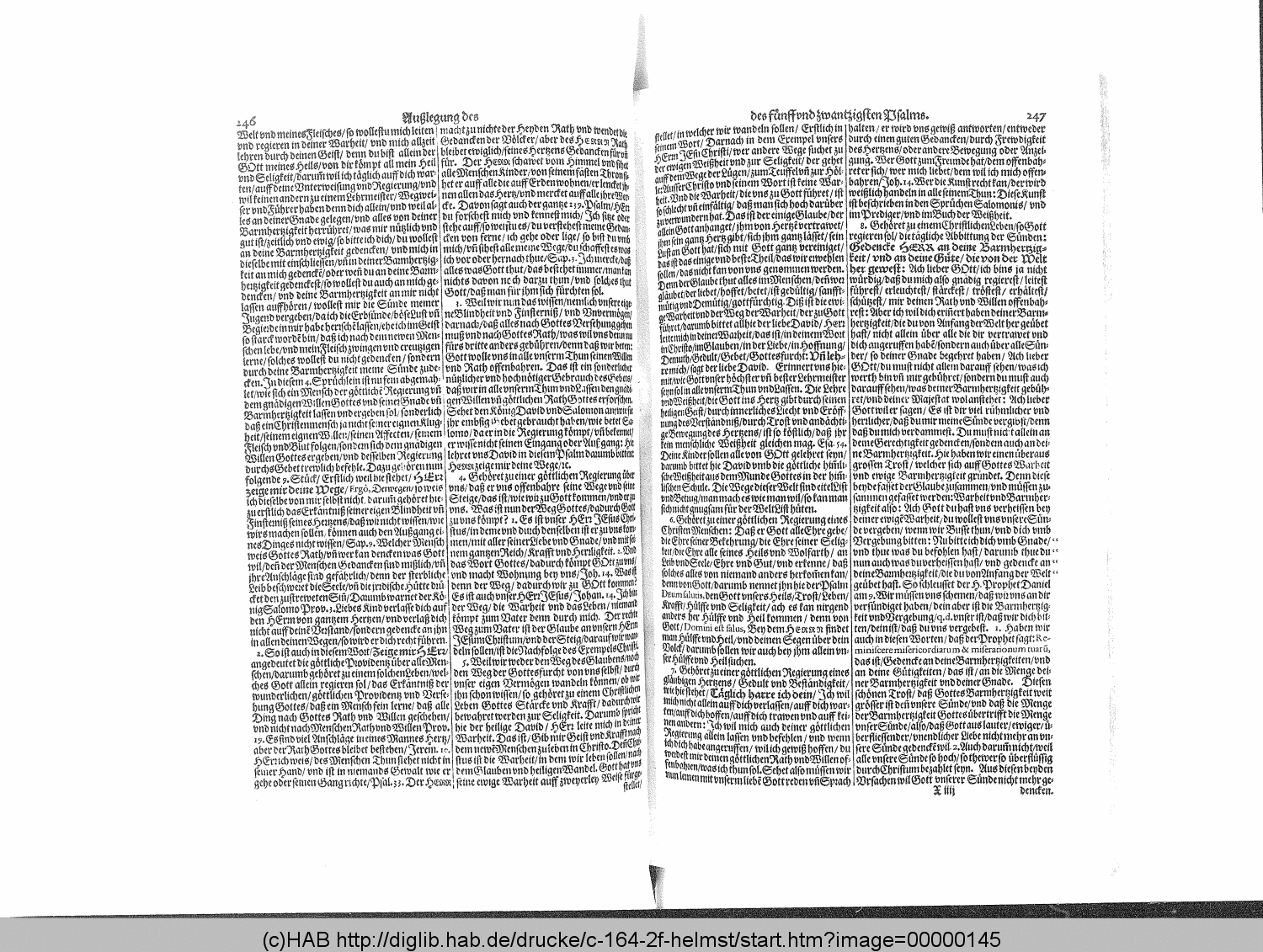 http://diglib.hab.de/drucke/c-164-2f-helmst/00000145.gif