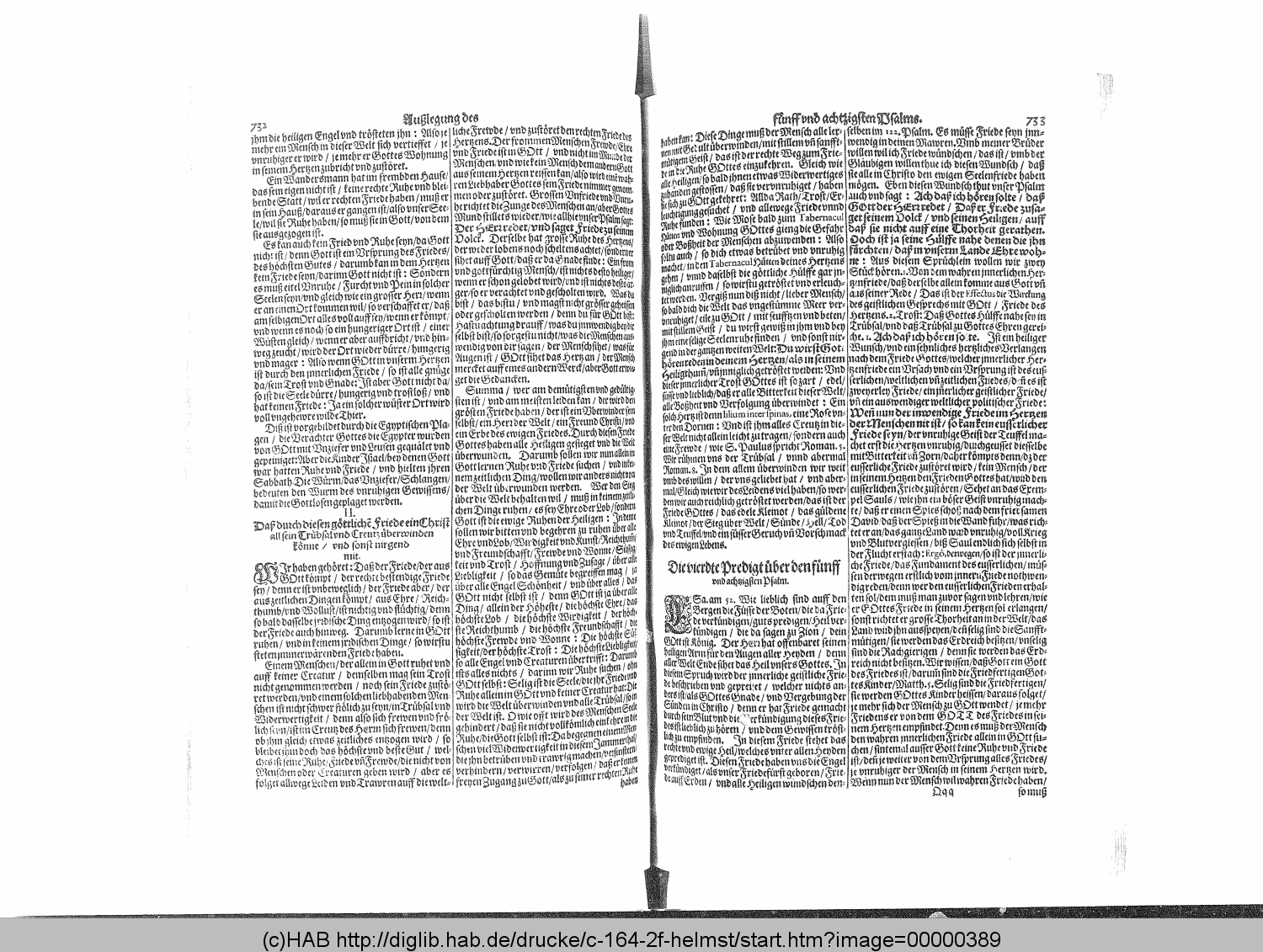 http://diglib.hab.de/drucke/c-164-2f-helmst/00000389.gif