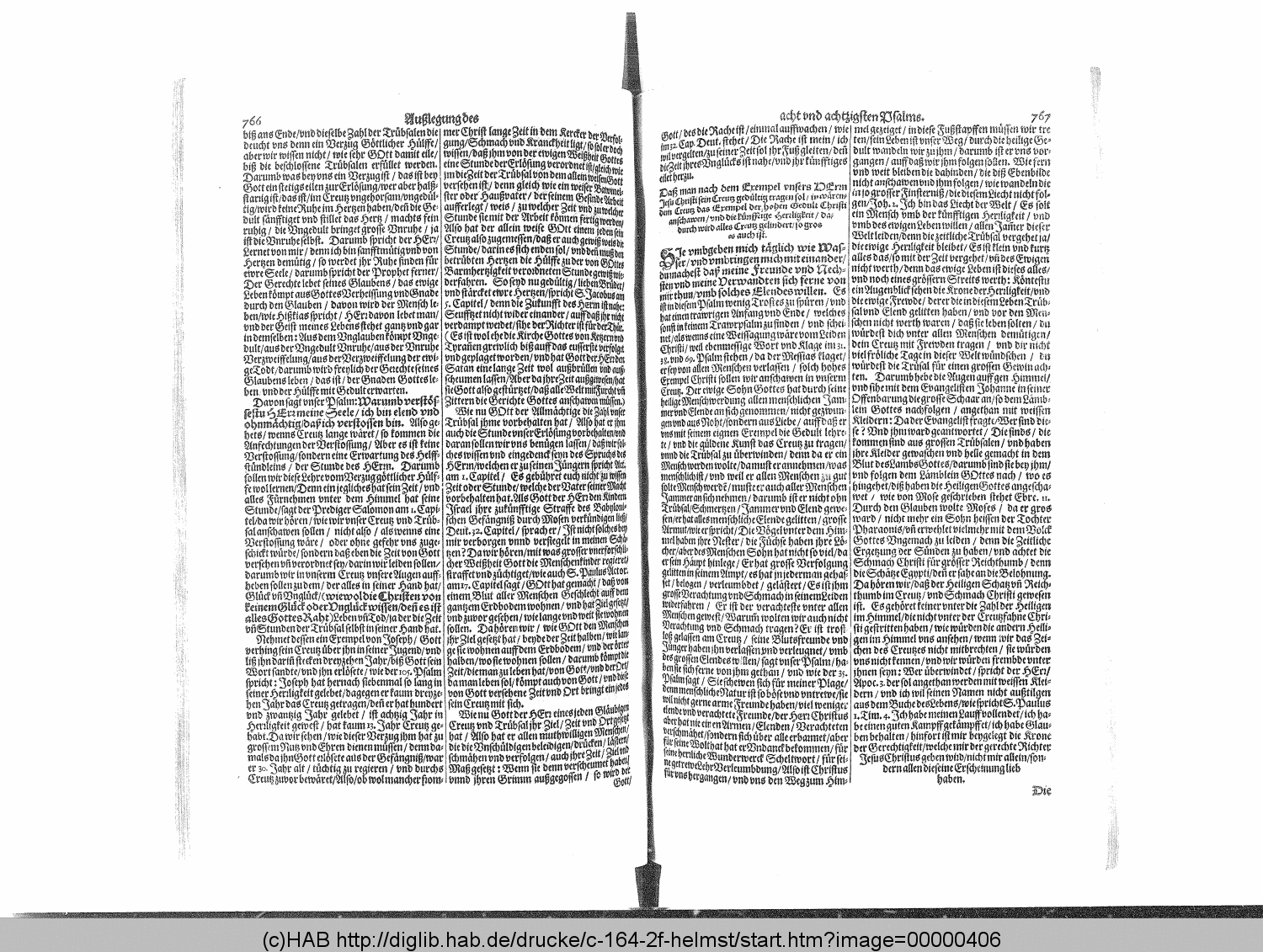 http://diglib.hab.de/drucke/c-164-2f-helmst/00000406.gif
