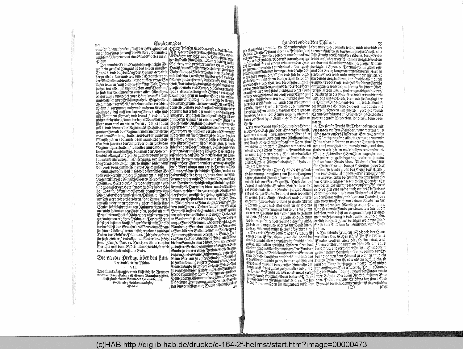http://diglib.hab.de/drucke/c-164-2f-helmst/00000473.gif