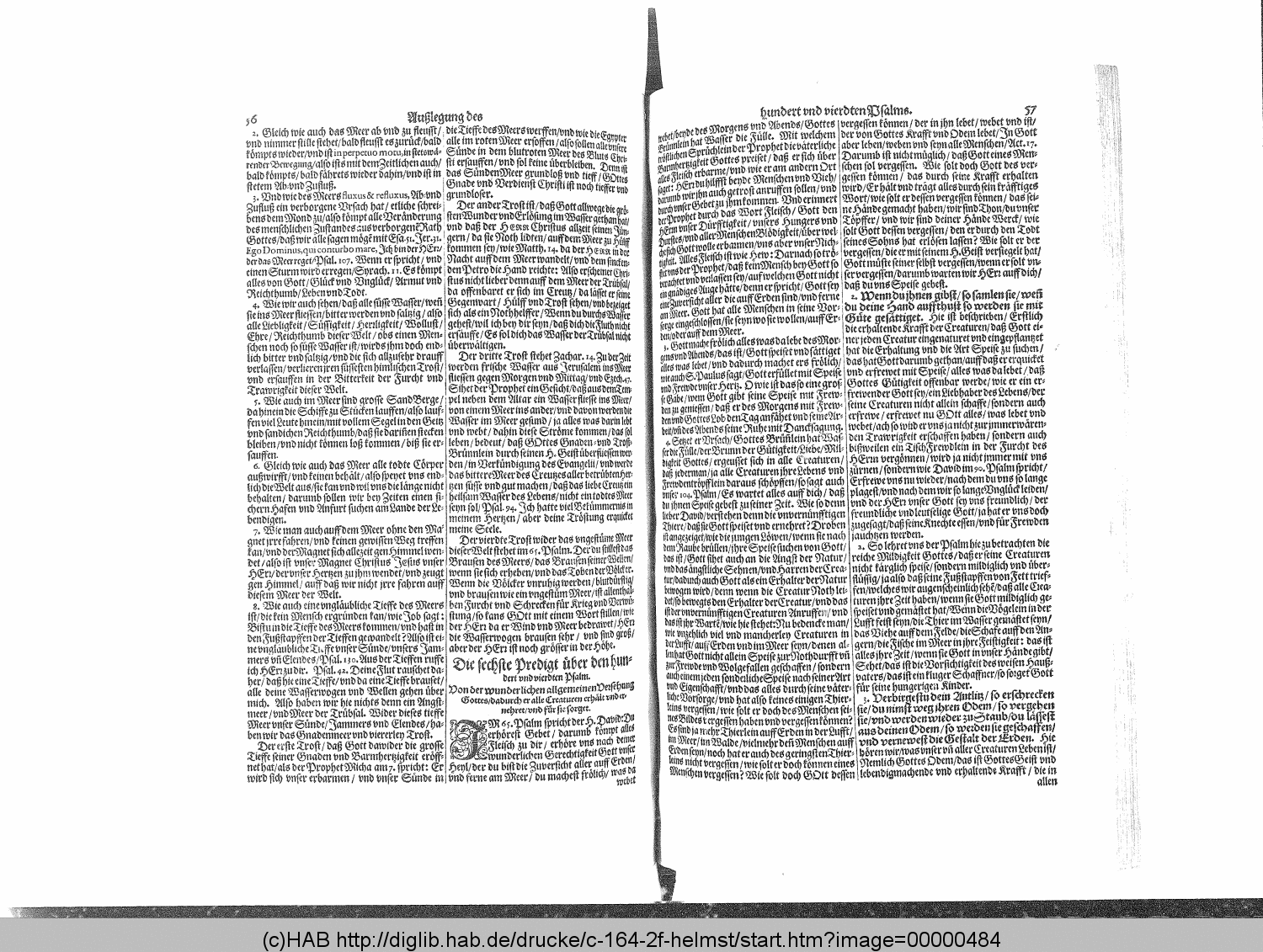 http://diglib.hab.de/drucke/c-164-2f-helmst/00000484.gif