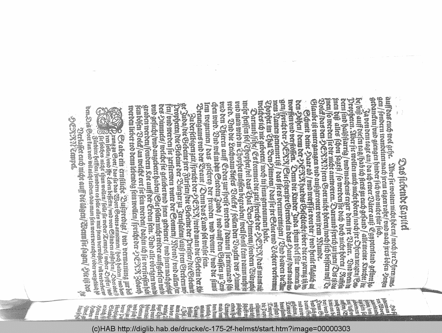 http://diglib.hab.de/drucke/c-175-2f-helmst/00000303.gif