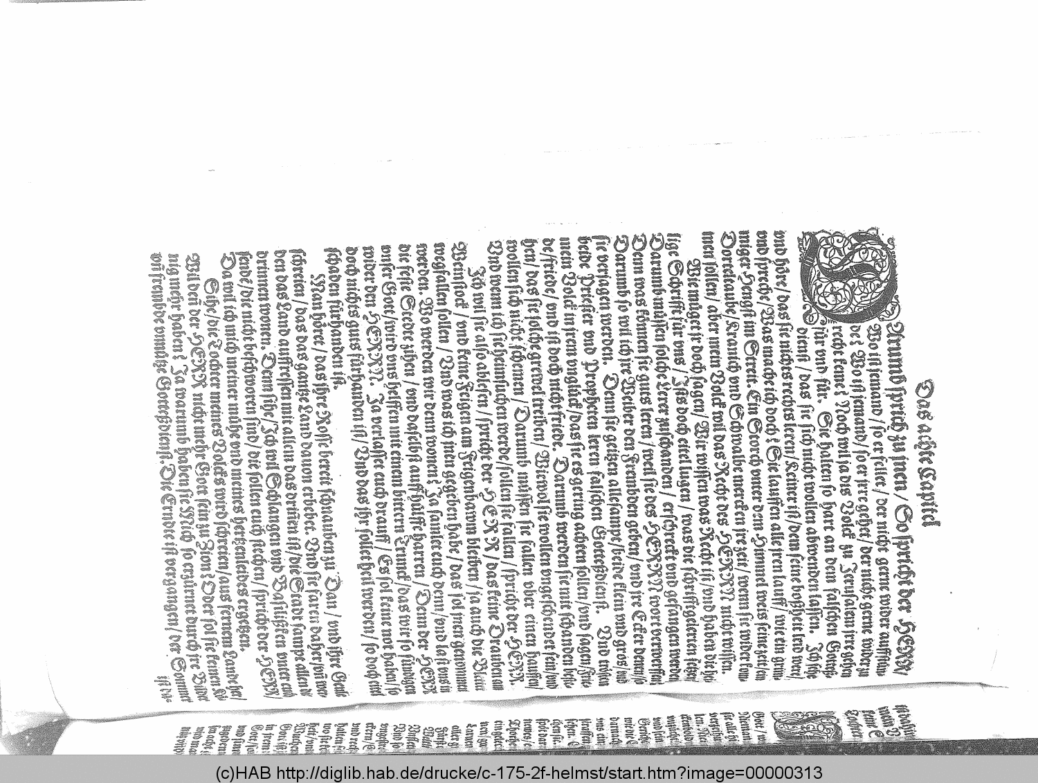 http://diglib.hab.de/drucke/c-175-2f-helmst/00000313.gif