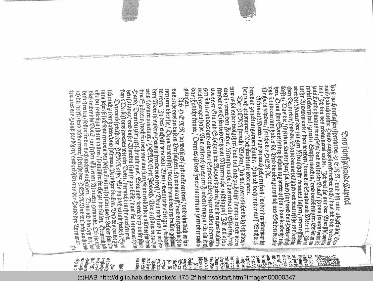 http://diglib.hab.de/drucke/c-175-2f-helmst/00000347.gif