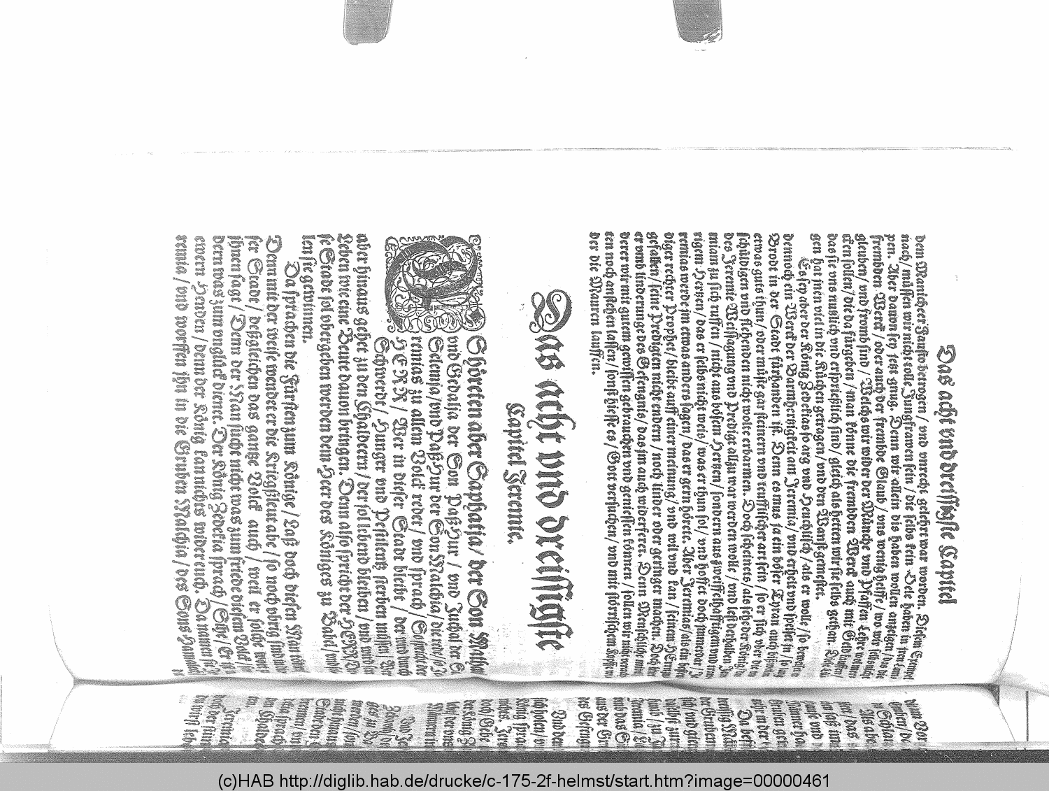 http://diglib.hab.de/drucke/c-175-2f-helmst/00000461.gif