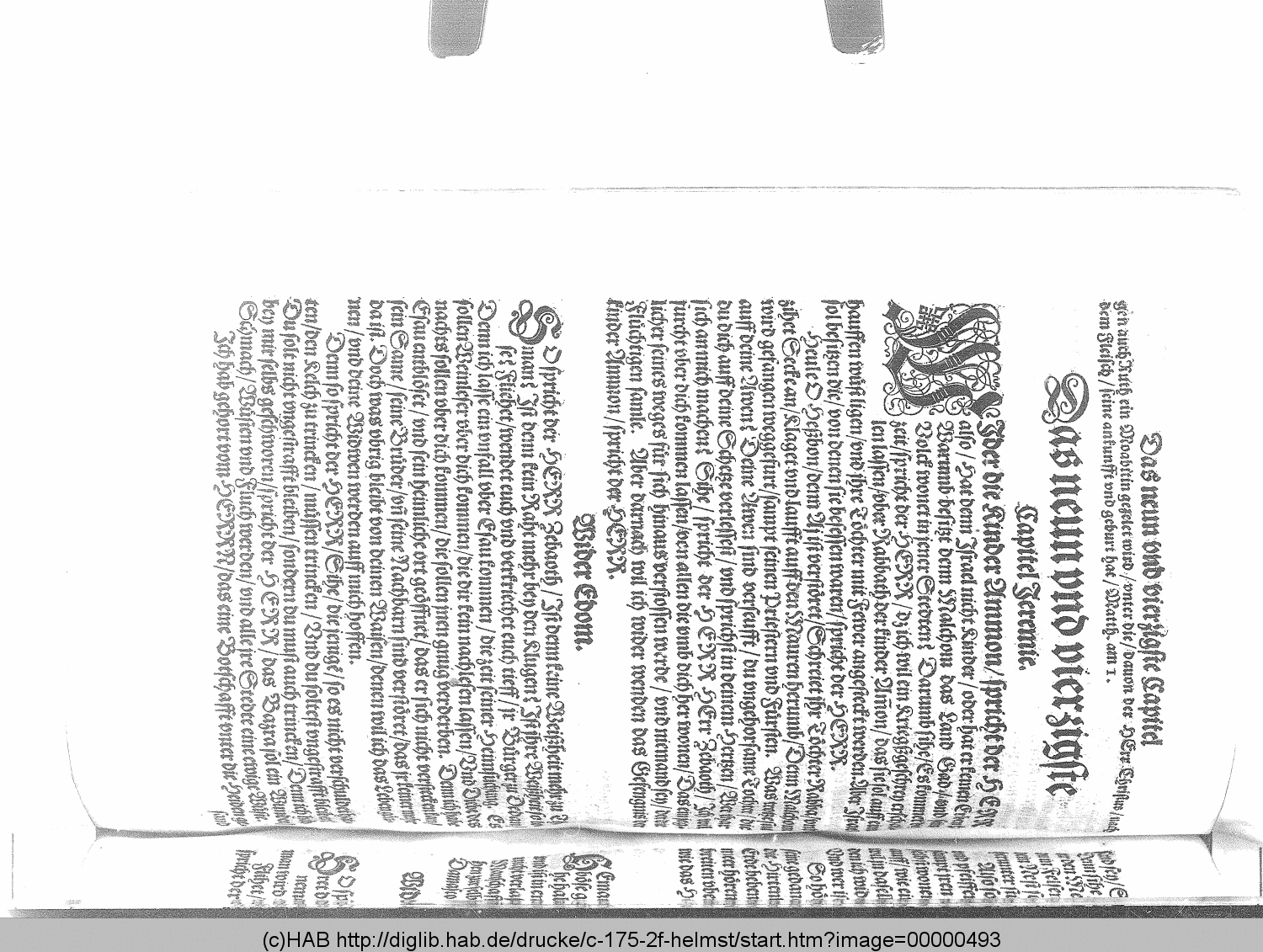 http://diglib.hab.de/drucke/c-175-2f-helmst/00000493.gif