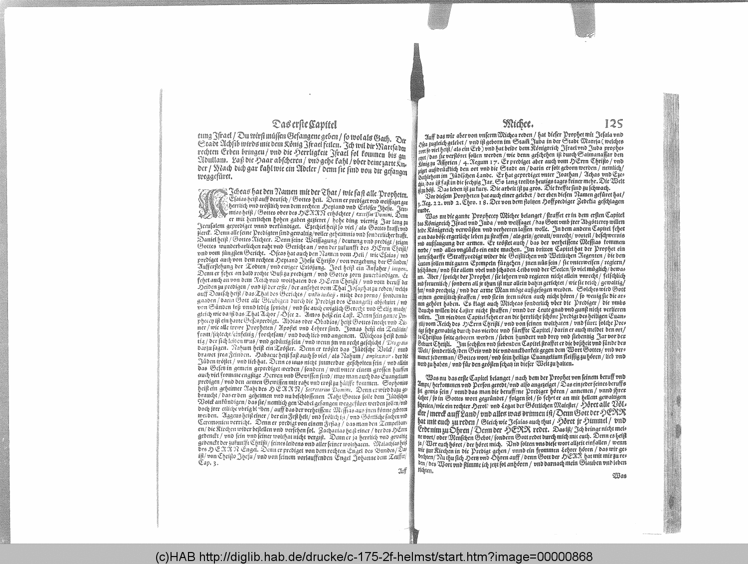 http://diglib.hab.de/drucke/c-175-2f-helmst/00000868.gif