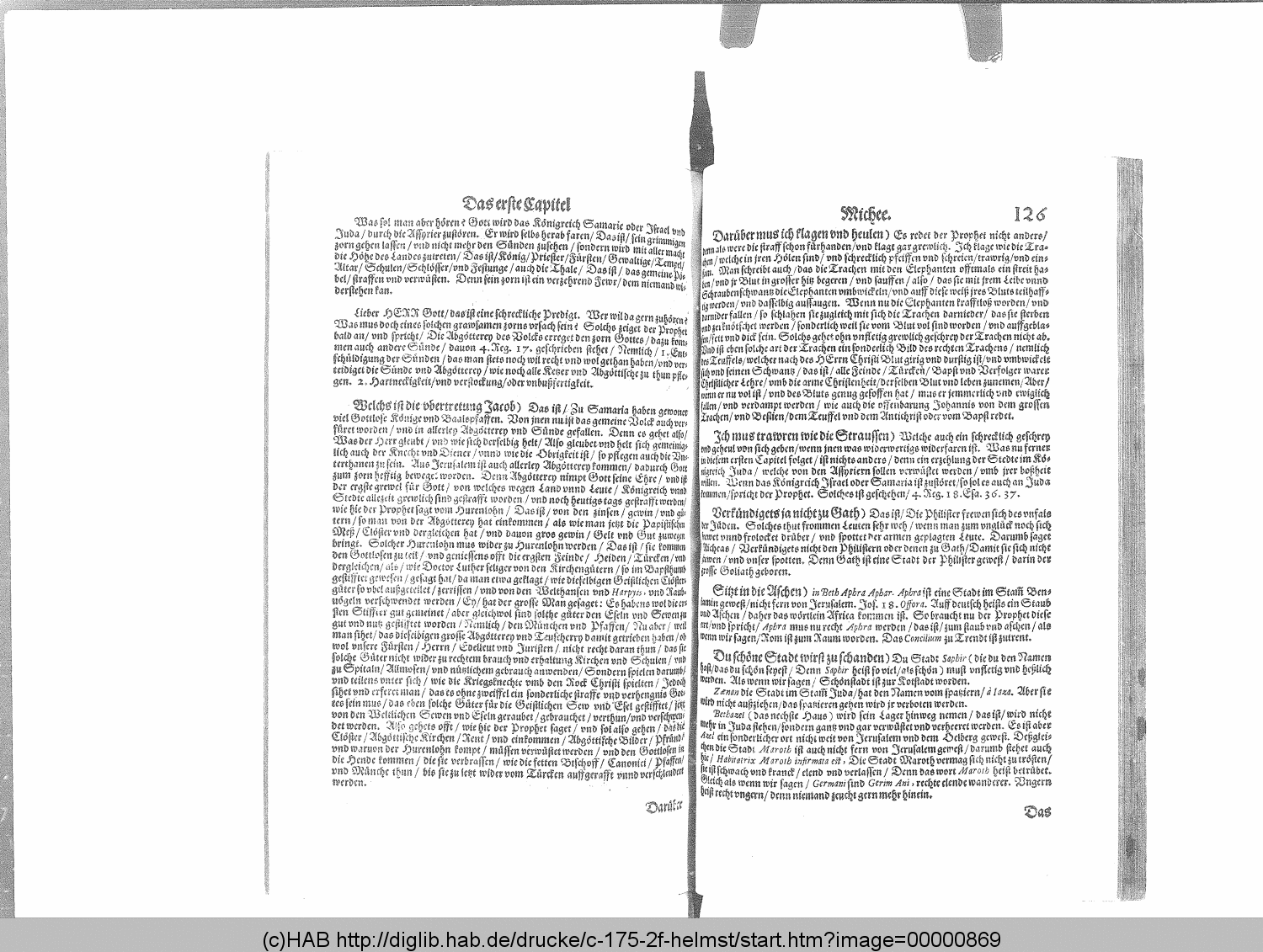 http://diglib.hab.de/drucke/c-175-2f-helmst/00000869.gif