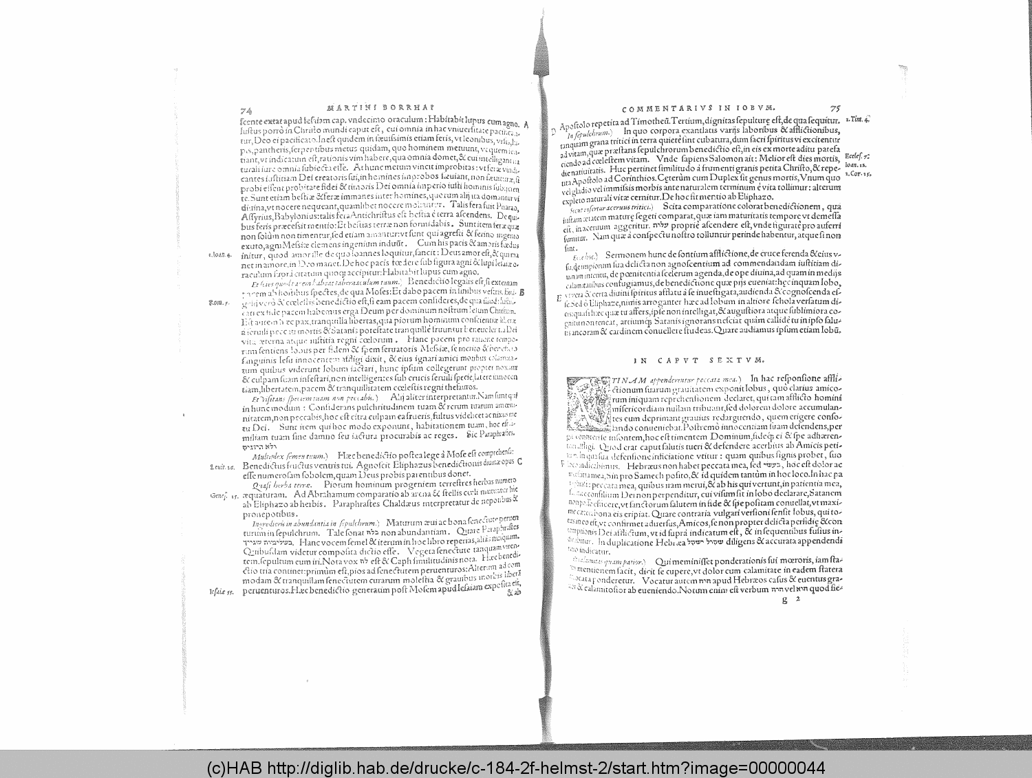 http://diglib.hab.de/drucke/c-184-2f-helmst-2/00000044.gif