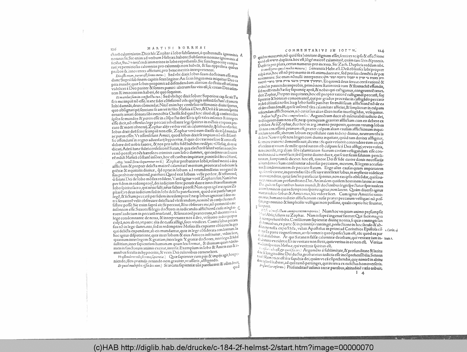 http://diglib.hab.de/drucke/c-184-2f-helmst-2/00000070.gif