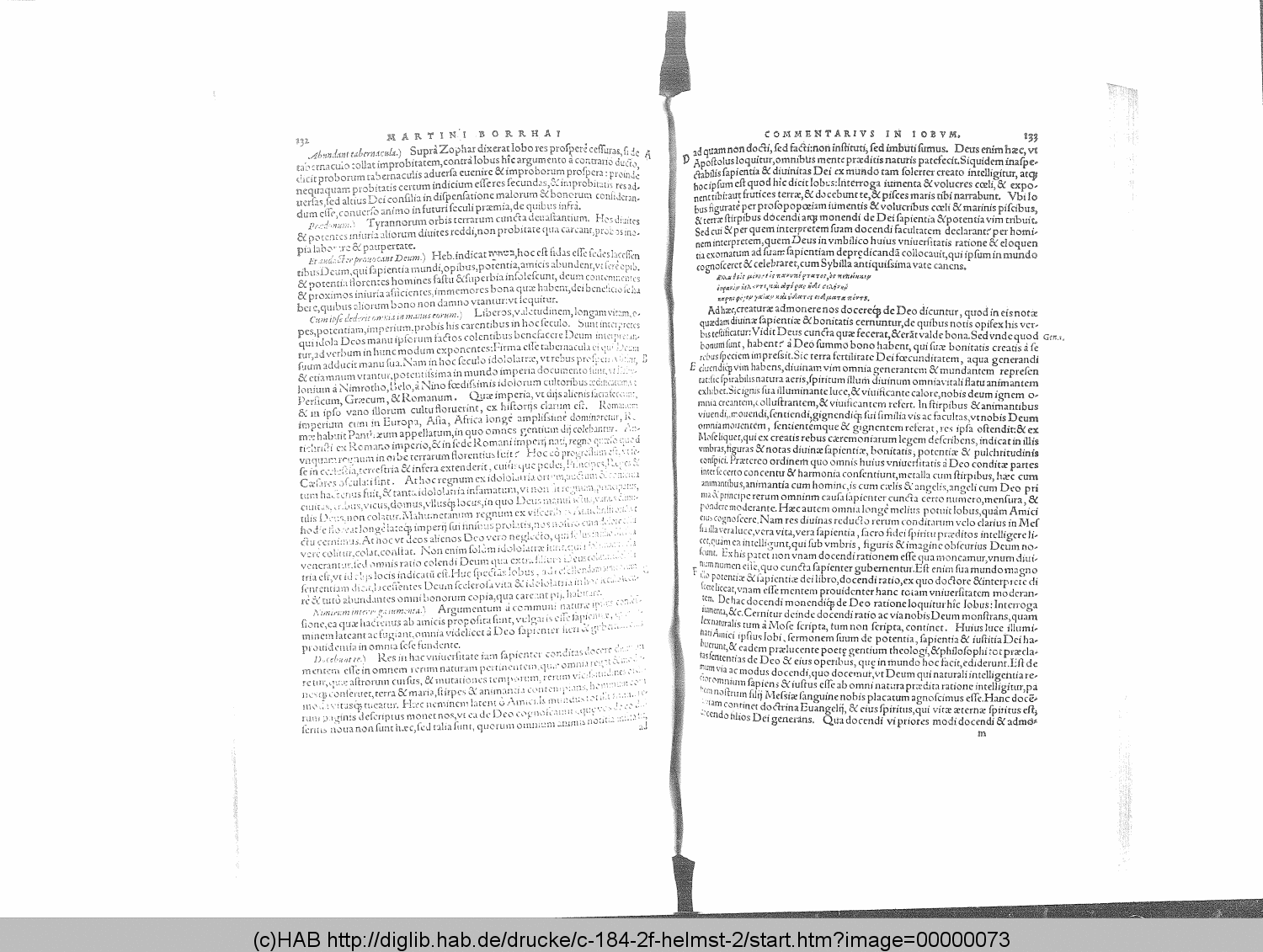 http://diglib.hab.de/drucke/c-184-2f-helmst-2/00000073.gif