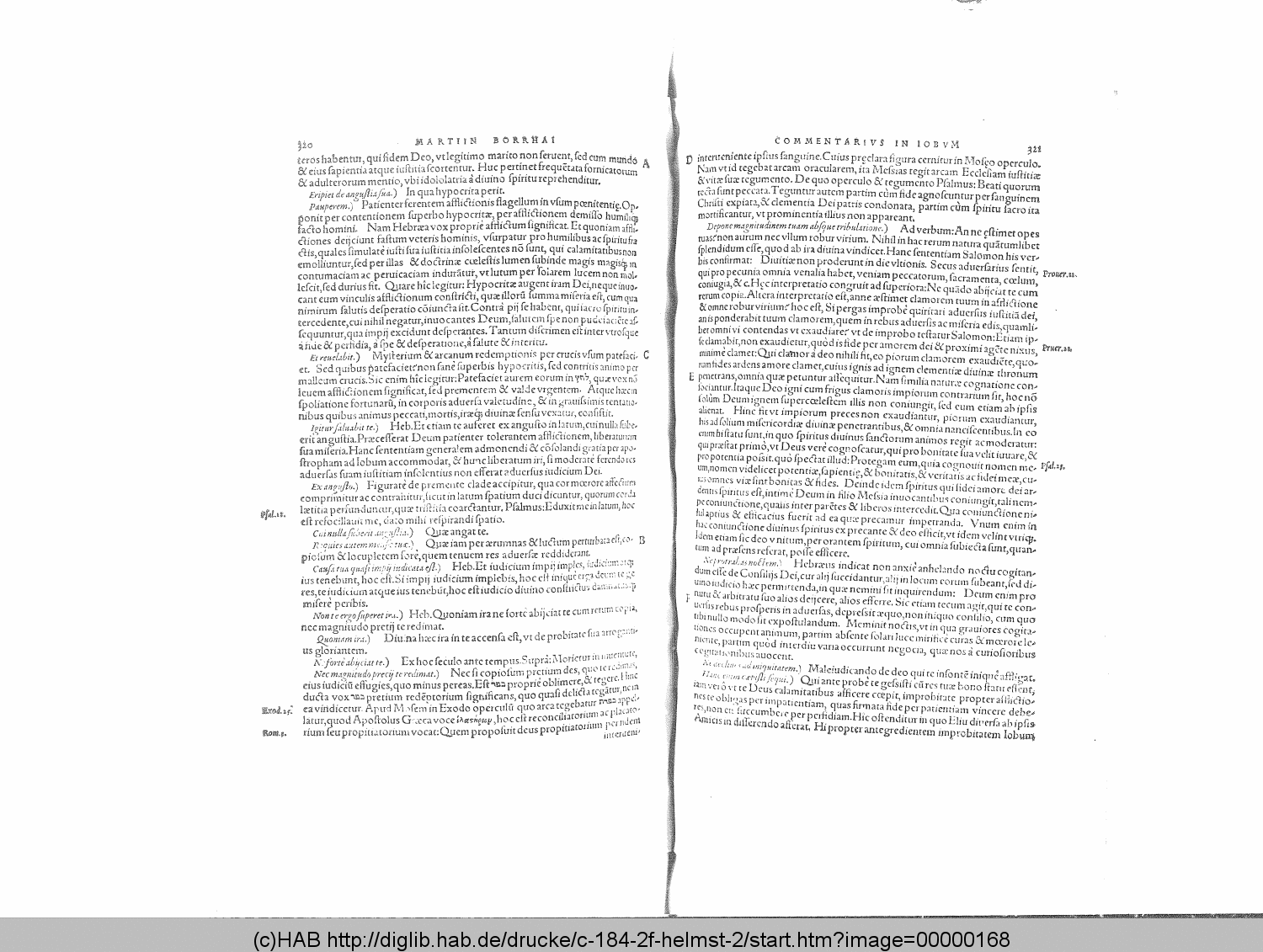 http://diglib.hab.de/drucke/c-184-2f-helmst-2/00000168.gif