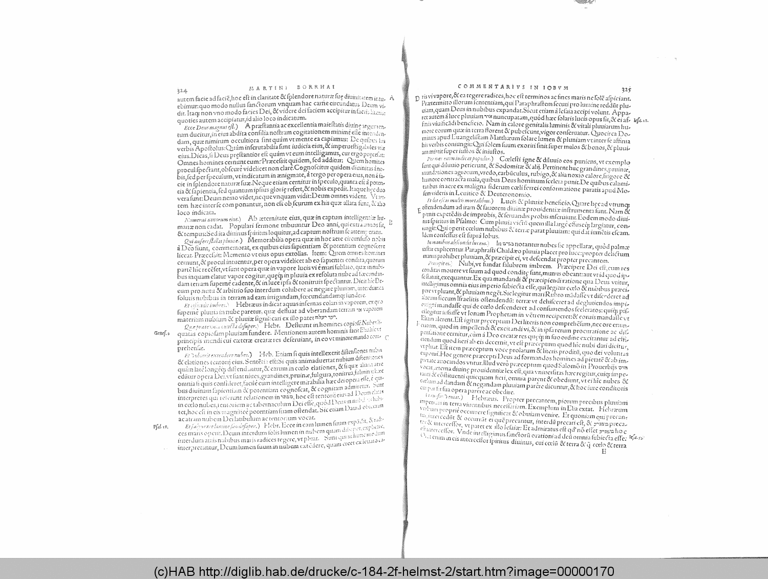 http://diglib.hab.de/drucke/c-184-2f-helmst-2/00000170.gif