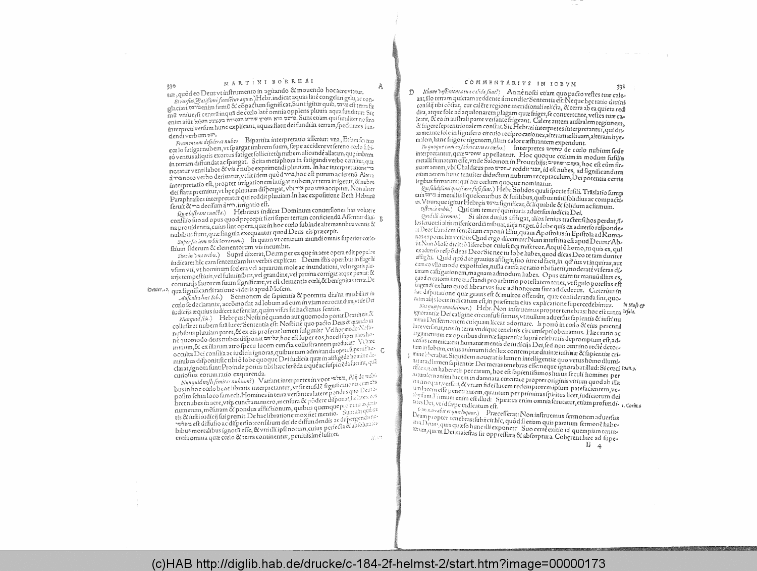 http://diglib.hab.de/drucke/c-184-2f-helmst-2/00000173.gif