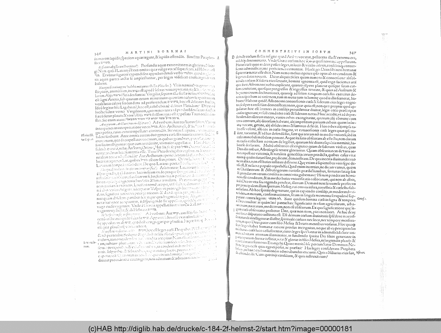 http://diglib.hab.de/drucke/c-184-2f-helmst-2/00000181.gif