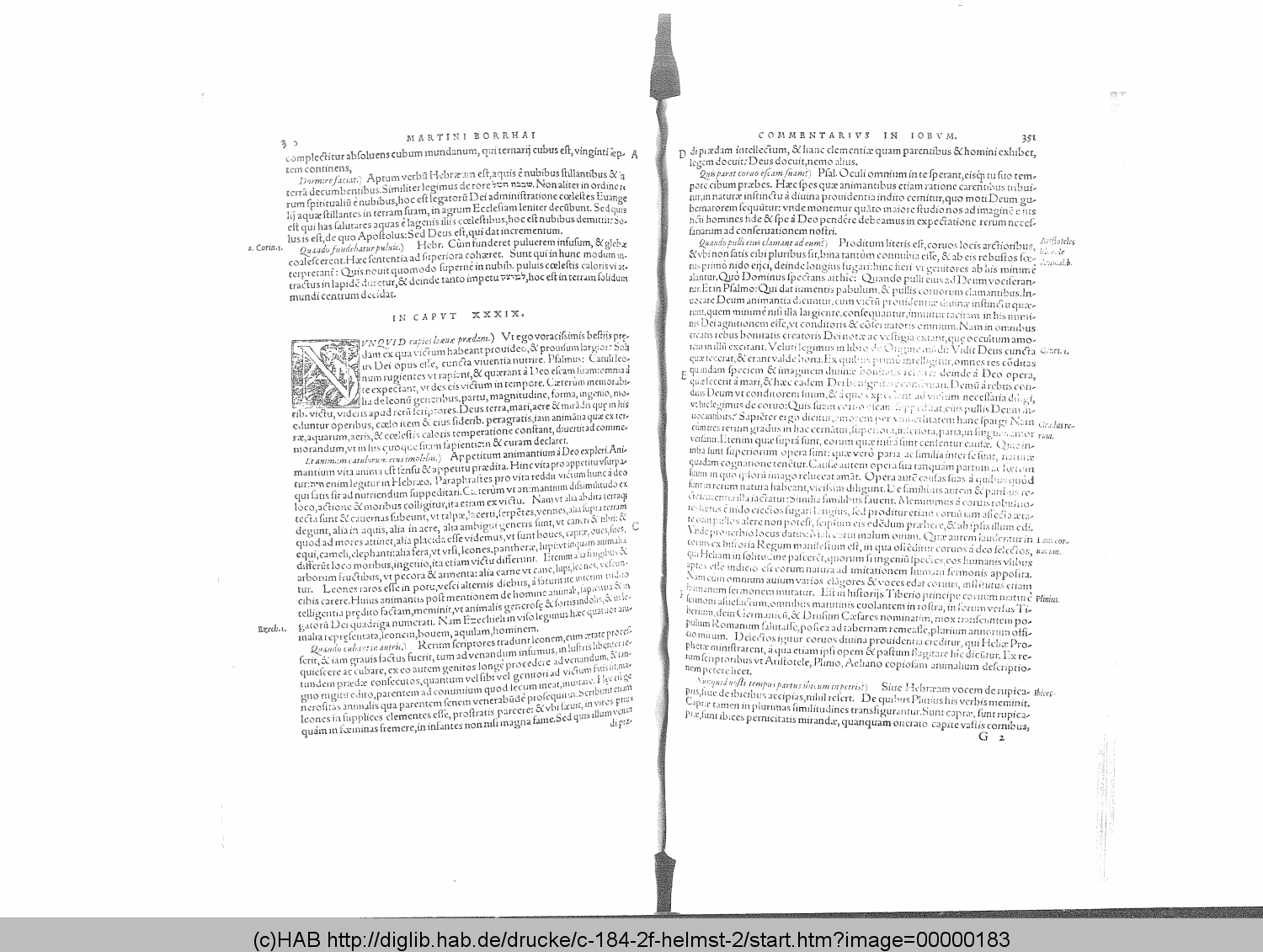 http://diglib.hab.de/drucke/c-184-2f-helmst-2/00000183.gif