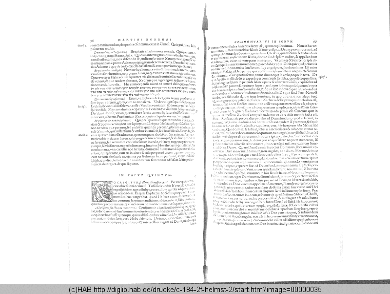 http://diglib.hab.de/drucke/c-184-2f-helmst-2/min/00000035.gif