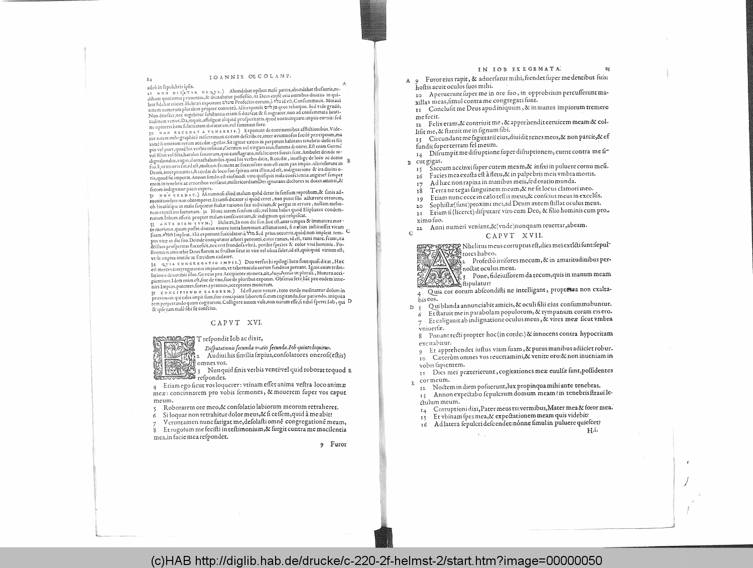 http://diglib.hab.de/drucke/c-220-2f-helmst-2/00000050.gif
