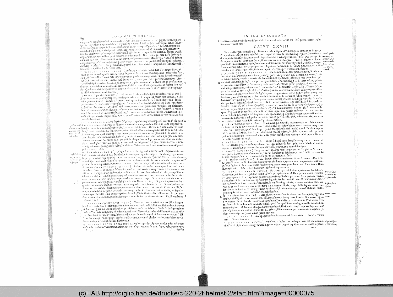 http://diglib.hab.de/drucke/c-220-2f-helmst-2/00000075.gif