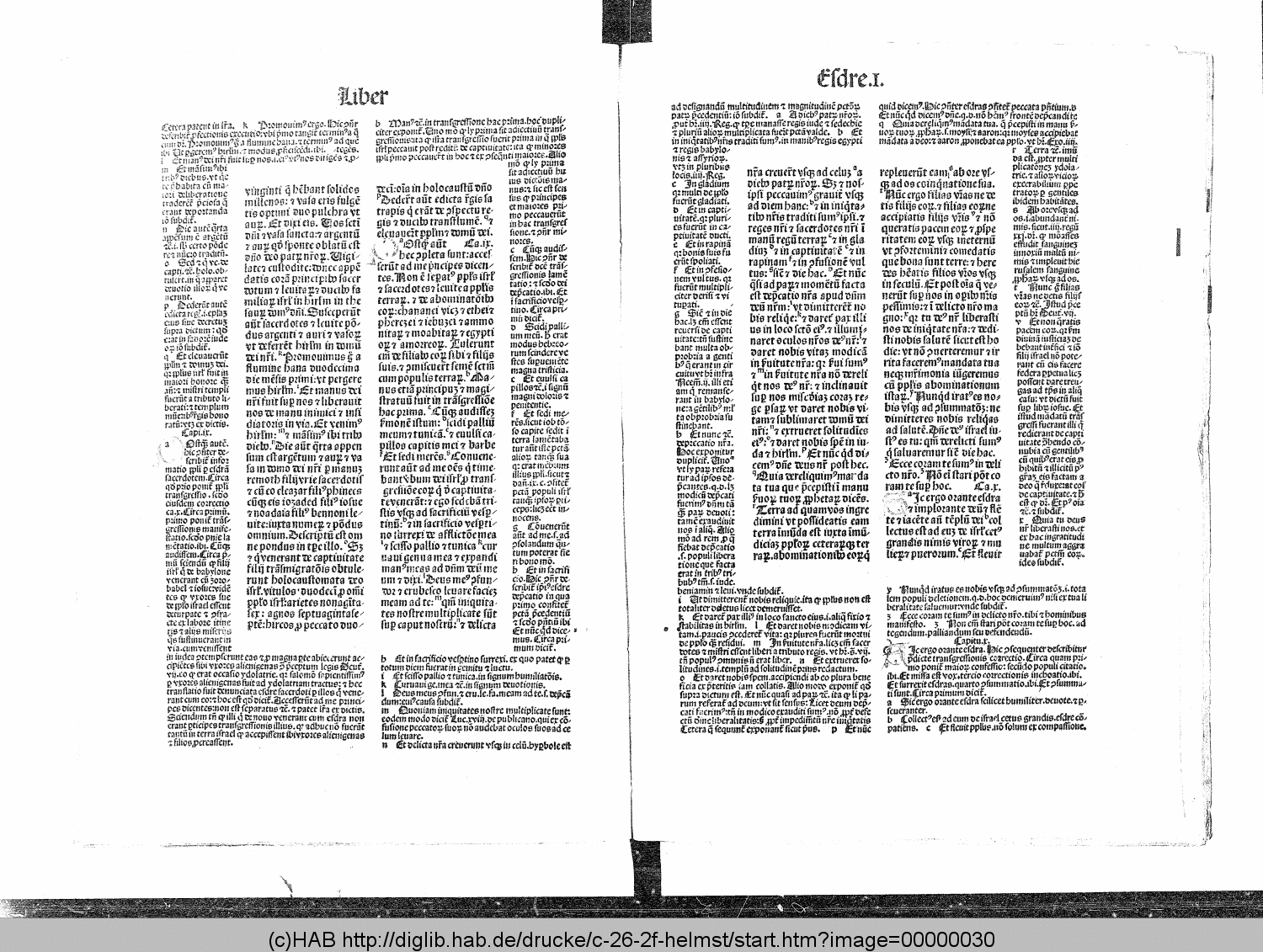 http://diglib.hab.de/drucke/c-26-2f-helmst/00000030.gif