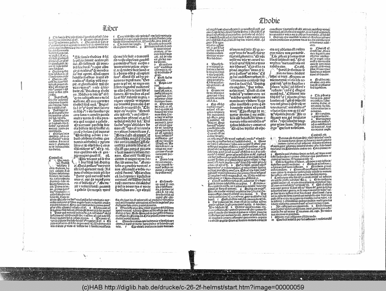 http://diglib.hab.de/drucke/c-26-2f-helmst/00000059.gif