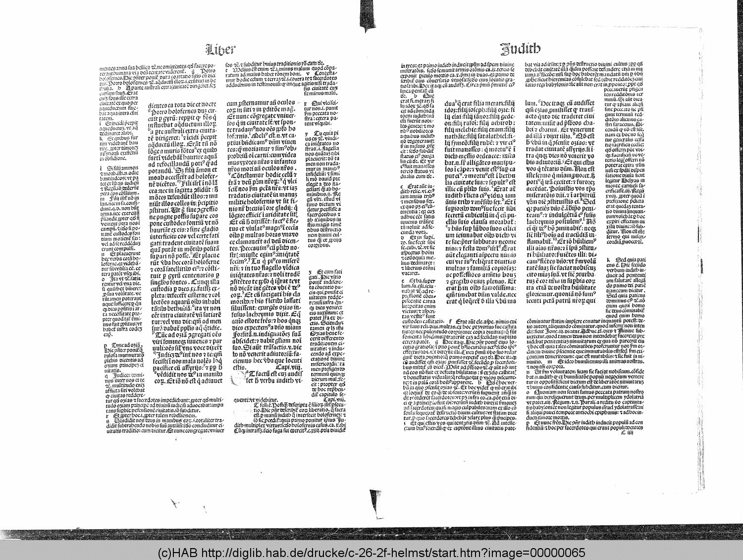 http://diglib.hab.de/drucke/c-26-2f-helmst/00000065.gif