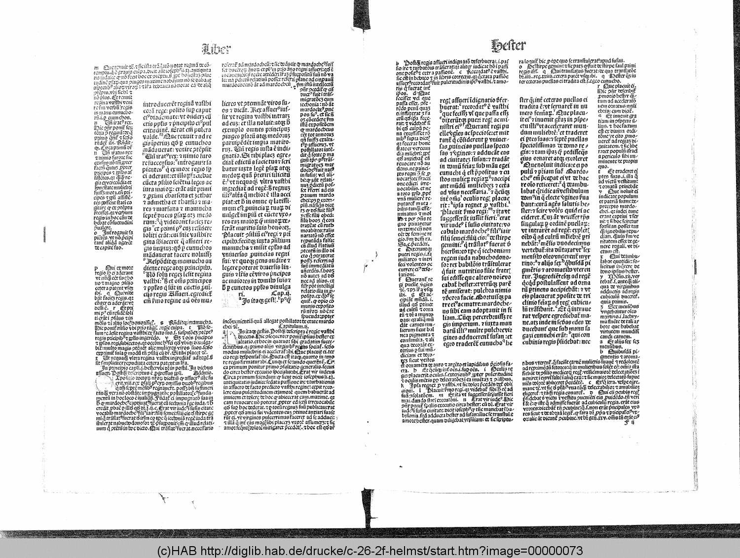 http://diglib.hab.de/drucke/c-26-2f-helmst/00000073.gif