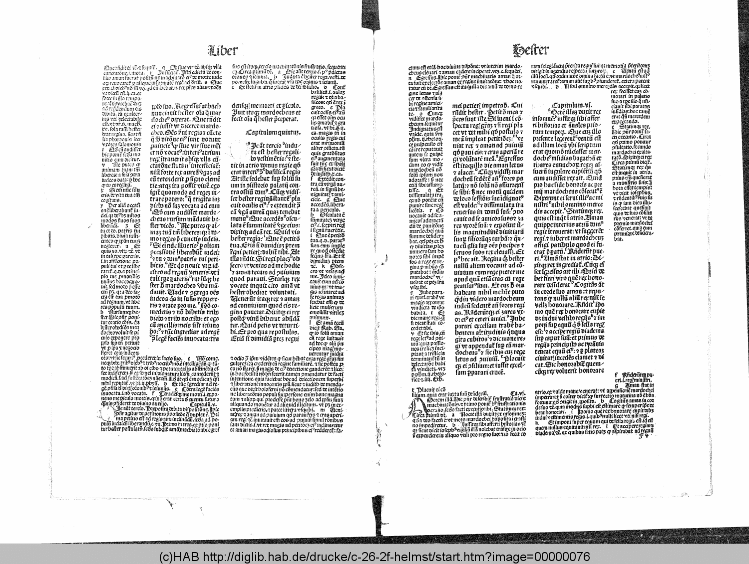 http://diglib.hab.de/drucke/c-26-2f-helmst/00000076.gif
